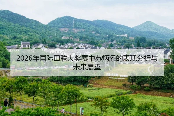 nian-guo-ji-tian-lian-da-jiang-sai-zhong-su-bing-tian-de-biao-xian-fen-xi-yu-wei-lai-zhan-wang-2-919.jpg