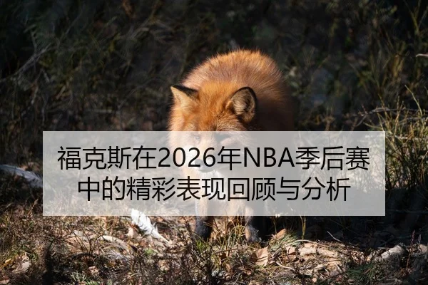 福克斯在2026年NBA季后赛中的精彩表现回顾与分析