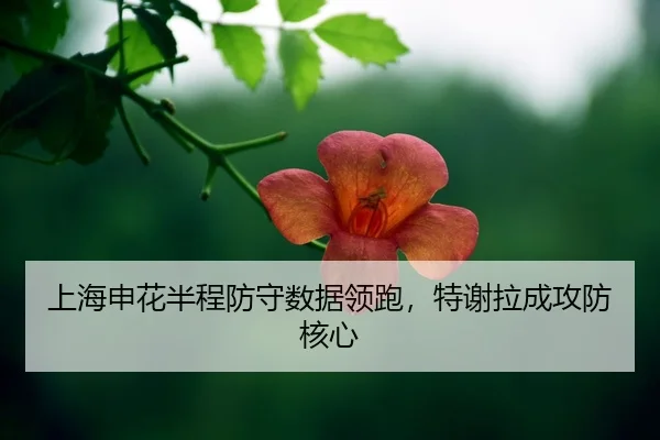 shang-hai-shen-hua-ban-cheng-fang-shou-shu-ju-ling-pao-te-xie-la-cheng-gong-fang-he-xin-2-268.jpg