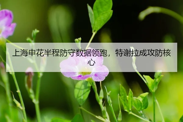shang-hai-shen-hua-ban-cheng-fang-shou-shu-ju-ling-pao-te-xie-la-cheng-gong-fang-he-xin-3-427.jpg