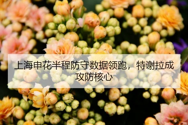 上海申花半程防守数据领跑，特谢拉成攻防核心