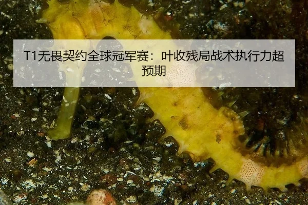 wu-wei-qi-yue-quan-qiu-guan-jun-sai-ye-shou-can-ju-zhan-shu-zhi-xing-li-chao-yu-qi-2-386.jpg