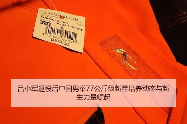 lv-xiao-jun-tui-yi-hou-zhong-guo-nan-ju-gong-jin-ji-xin-xing-pei-yang-dong-tai-yu-xin-sheng-li-liang-jue-qi-2-469.jpg