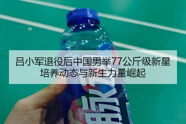lv-xiao-jun-tui-yi-hou-zhong-guo-nan-ju-gong-jin-ji-xin-xing-pei-yang-dong-tai-yu-xin-sheng-li-liang-jue-qi-3-641.jpg