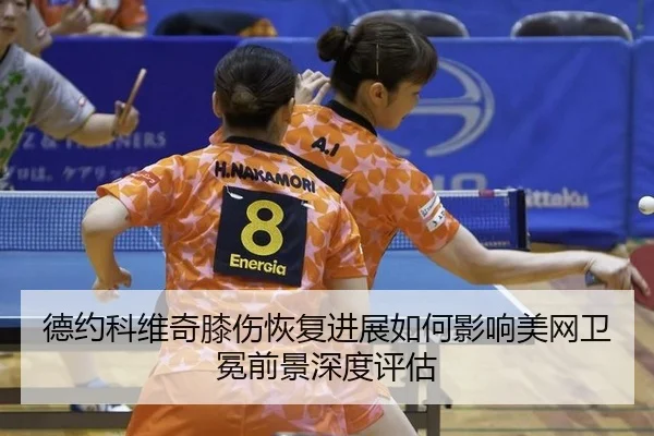 de-yue-ke-wei-qi-xi-shang-hui-fu-jin-zhan-ru-he-ying-xiang-mei-wang-wei-mian-qian-jing-shen-du-ping-gu-2-386.jpg